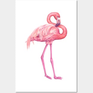 Flamingo Posters and Art